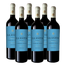 Finca La Anita Cabernet Franc x750ml (box of 6 Bottles)